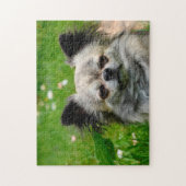 Chihuahua Honden. Legpuzzel (Verticaal)