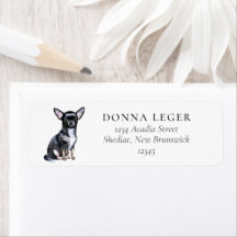 Chihuahua hondenadres