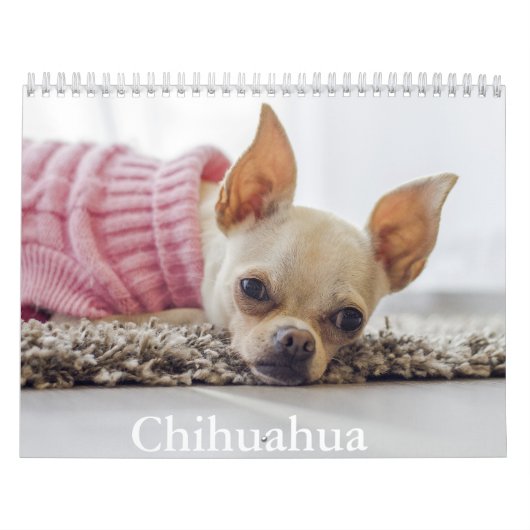 Chihuahua hondenkalender kalender (Hoes)
