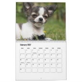 Chihuahua hondenkalender kalender (Feb 2027)
