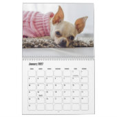 Chihuahua hondenkalender kalender (Jan 2027)