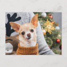 Chihuahua Hondenkerst w / Kerstboom Post Kaart