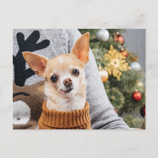 Chihuahua Hondenkerst w / Kerstboom Post Kaart (Voorkant)