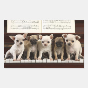 Chihuahua-hondje op piano ( Chewawa , Chiwawa ) Rechthoekige Sticker