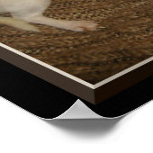 Chihuahua houdt één oog open Poster (Hoek)