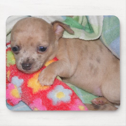 Chihuahua Hugs Muismat (Voorkant)