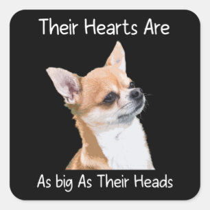 Chihuahua Hun hart is net zo groot als hun hoofden Vierkante Sticker