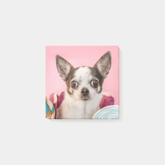 Chihuahua Hund auf rosa Post-it® Notes (Voorkant)