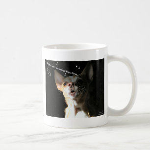 Chihuahua Identity Crisis Mok