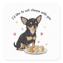 chihuahua "Ik zou graag kaas met je willen eten"