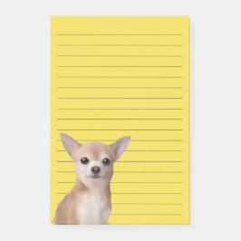 Chihuahua Illustrated Notes