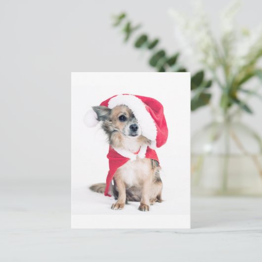 Chihuahua im Weihnachtskostüm Briefkaart (Staand voorkant)