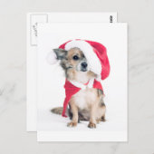 Chihuahua im Weihnachtskostüm Briefkaart (Voorkant / Achterkant)