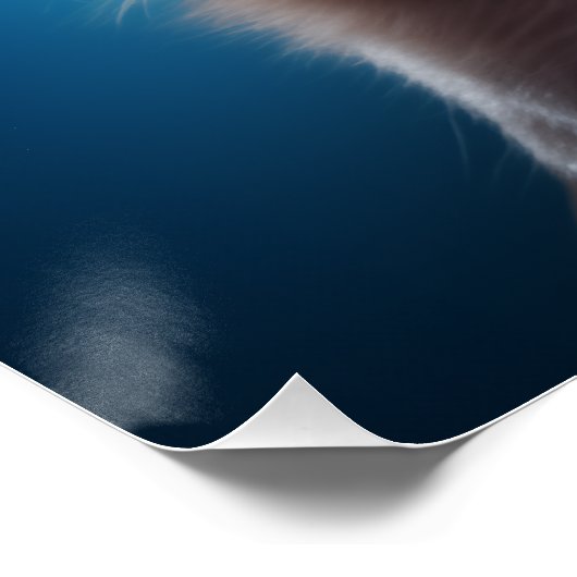 Chihuahua in actie perfect poster (Hoek)