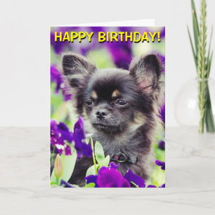 Chihuahua in bloemen verjaardagskaart kaart