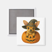 Chihuahua in de pompoen magneet (Voorkant / Achterkant)