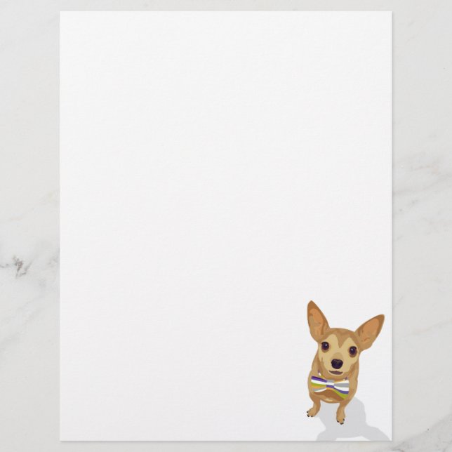 Chihuahua in een kom op een witte achtergrond (Voorkant)