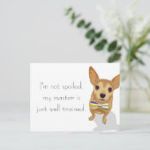 Chihuahua in een kom op een witte achtergrond briefkaart (Staand voorkant)