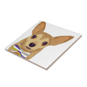 Chihuahua in een kom op een witte achtergrond tegeltje (Zijkant)