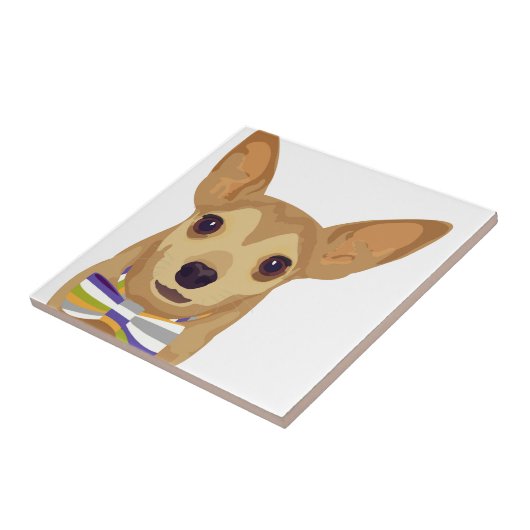 Chihuahua in een kom op een witte achtergrond tegeltje (Zijkant)