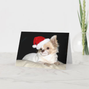 Chihuahua in een Santa Hat Feestdagen Kaart