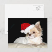 Chihuahua in een Santa Hat Feestdagenkaart (Voorkant / Achterkant)