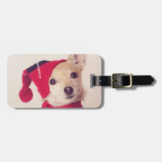 Chihuahua in het Pet van de winter Bagagelabel (Voorkant horizontaal)