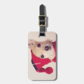 Chihuahua in het Pet van de winter Bagagelabel (Voorkant verticaal)