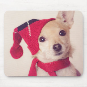 Chihuahua in het Pet van de winter Muismat