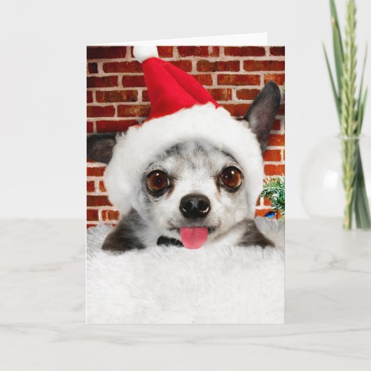 CHIHUAHUA IN het Santa Hat Wenskaart Kaart (Voorkant)