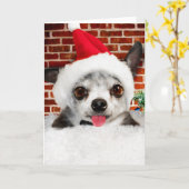 CHIHUAHUA IN het Santa Hat Wenskaart Kaart (Gele Bloem)