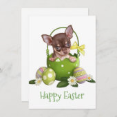 Chihuahua in paasmandje feestdagenkaart (Voorkant / Achterkant)