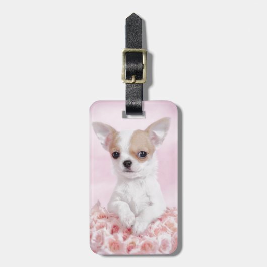 Chihuahua in roze met rozen bagagelabel (Voorkant verticaal)