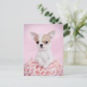 Chihuahua in roze met rozen briefkaart (Staand voorkant)