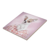 Chihuahua in roze met rozen tegeltje (Zijkant)