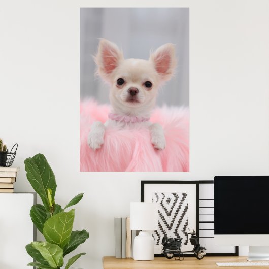 Chihuahua in roze poster (Thuiskantoor)