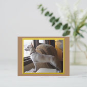 Chihuahua In The Office Postcard Briefkaart (Staand voorkant)