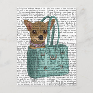 Chihuahua in zak briefkaart