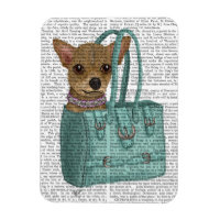 Chihuahua in zak