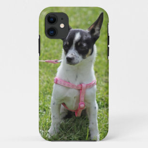 chihuahua iphone case