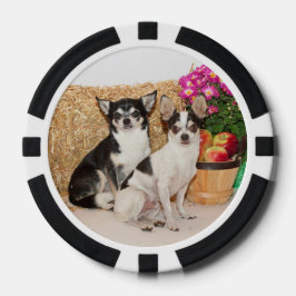 Chihuahua is in de herfst poker chips