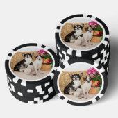 Chihuahua is in de herfst poker chips (Opstapeling)