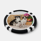 Chihuahua is in de herfst poker chips (Enkel)