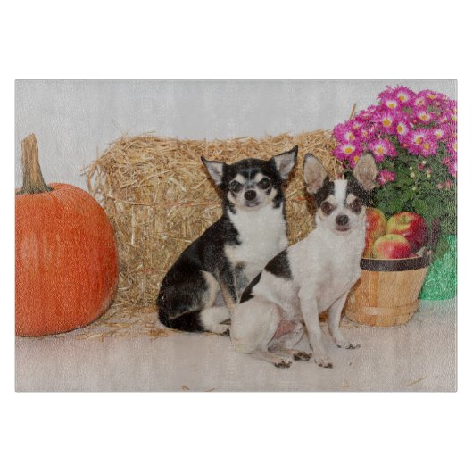 Chihuahua is in de herfst snijplank (Voorkant)