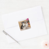 Chihuahua is in de herfst vierkante sticker (Envelop)