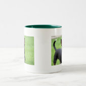 Chihuahua Isabella -13 Tweekleurige Koffiemok (Center)