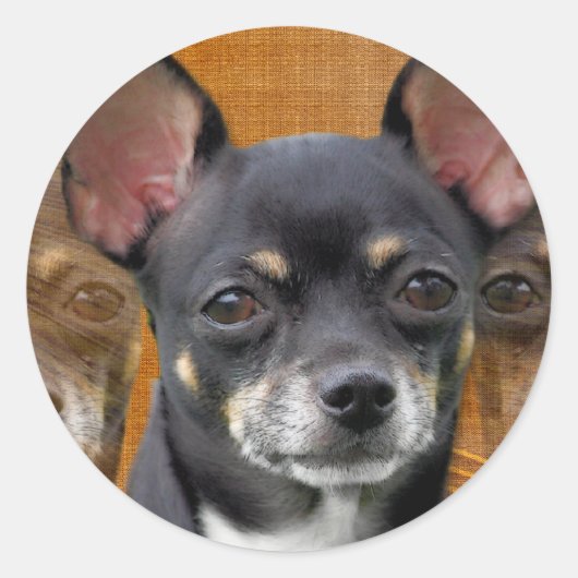 Chihuahua Isabella Cresent Moon Ronde Sticker (Voorkant)