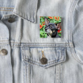 Chihuahua - Isabella - Foto 41 Vierkante Button 5,1 Cm (In situ)