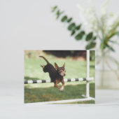 Chihuahua Jumping Hurdle Briefkaart (Staand voorkant)