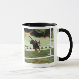 Chihuahua Jumping Hurdle Mok